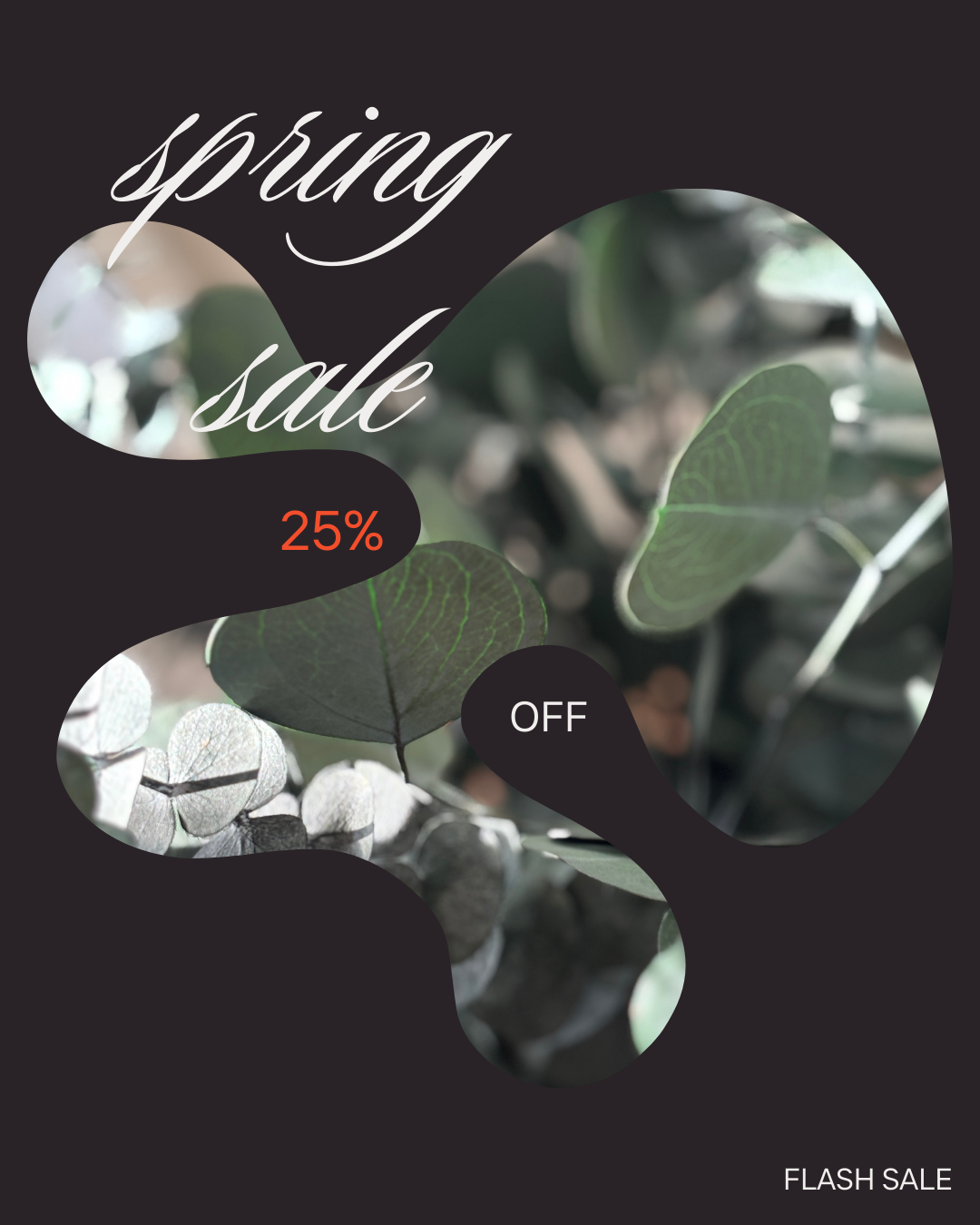 Spring Savings