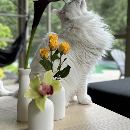 Ensemble de 3 vases en céramique au style minimaliste nordique - Blanc