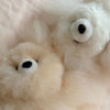 Alpaca Bear Plush 5.5