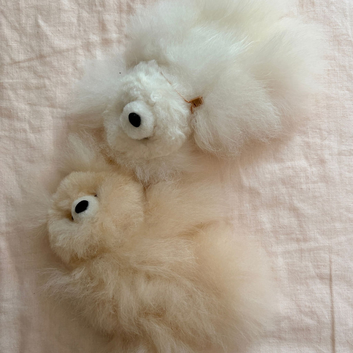 Alpaca Bear Plush 5.5