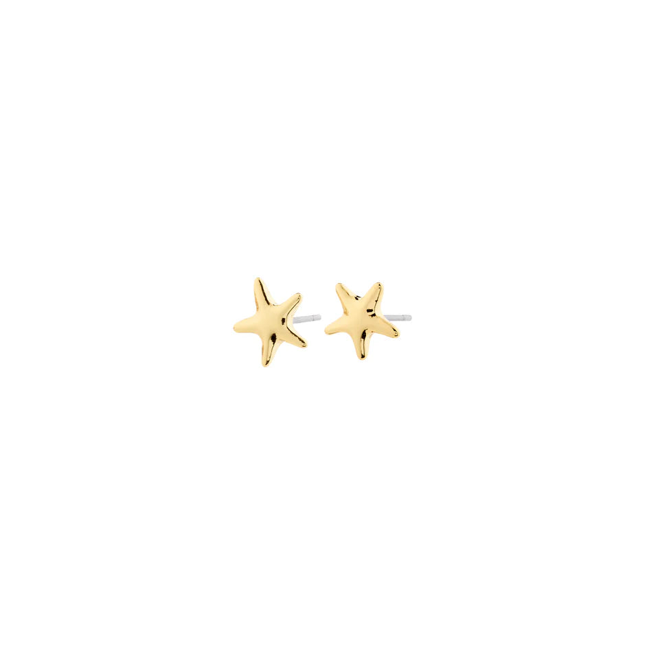 ANDRÉ mini gold-plated starfish stud earrings on white background, small polished silhouette — Reyca / Petites boucles d'oreilles clou étoile de mer dorées ANDRÉ sur fond blanc, petite silhouette polie — Reyca