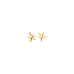 ANDRÉ mini gold-plated starfish stud earrings on white background, small polished silhouette — Reyca / Petites boucles d'oreilles clou étoile de mer dorées ANDRÉ sur fond blanc, petite silhouette polie — Reyca