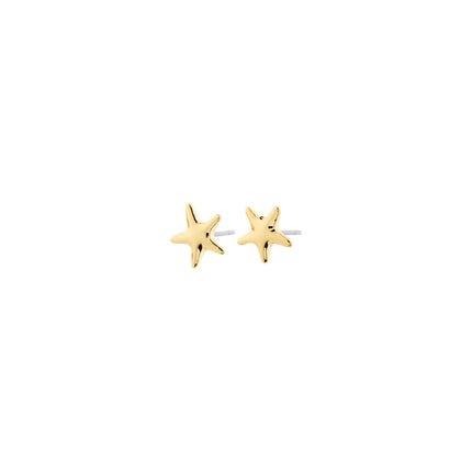 ANDRÉ mini gold-plated starfish stud earrings on white background, small polished silhouette — Reyca / Petites boucles d'oreilles clou étoile de mer dorées ANDRÉ sur fond blanc, petite silhouette polie — Reyca