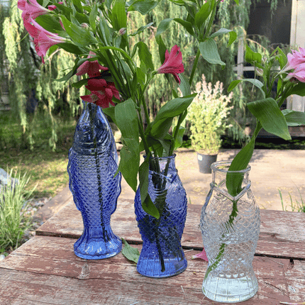 Fish Vase Bundle — Large & Small