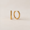 Cleo Hoop Earrings - Gold