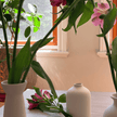 Nordic Minimalist Ceramic Vase Set (3 Pieces) - White