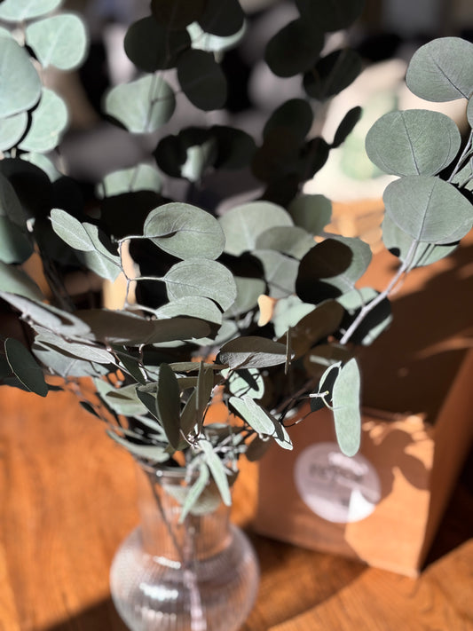 Apple Silver Eucalyptus