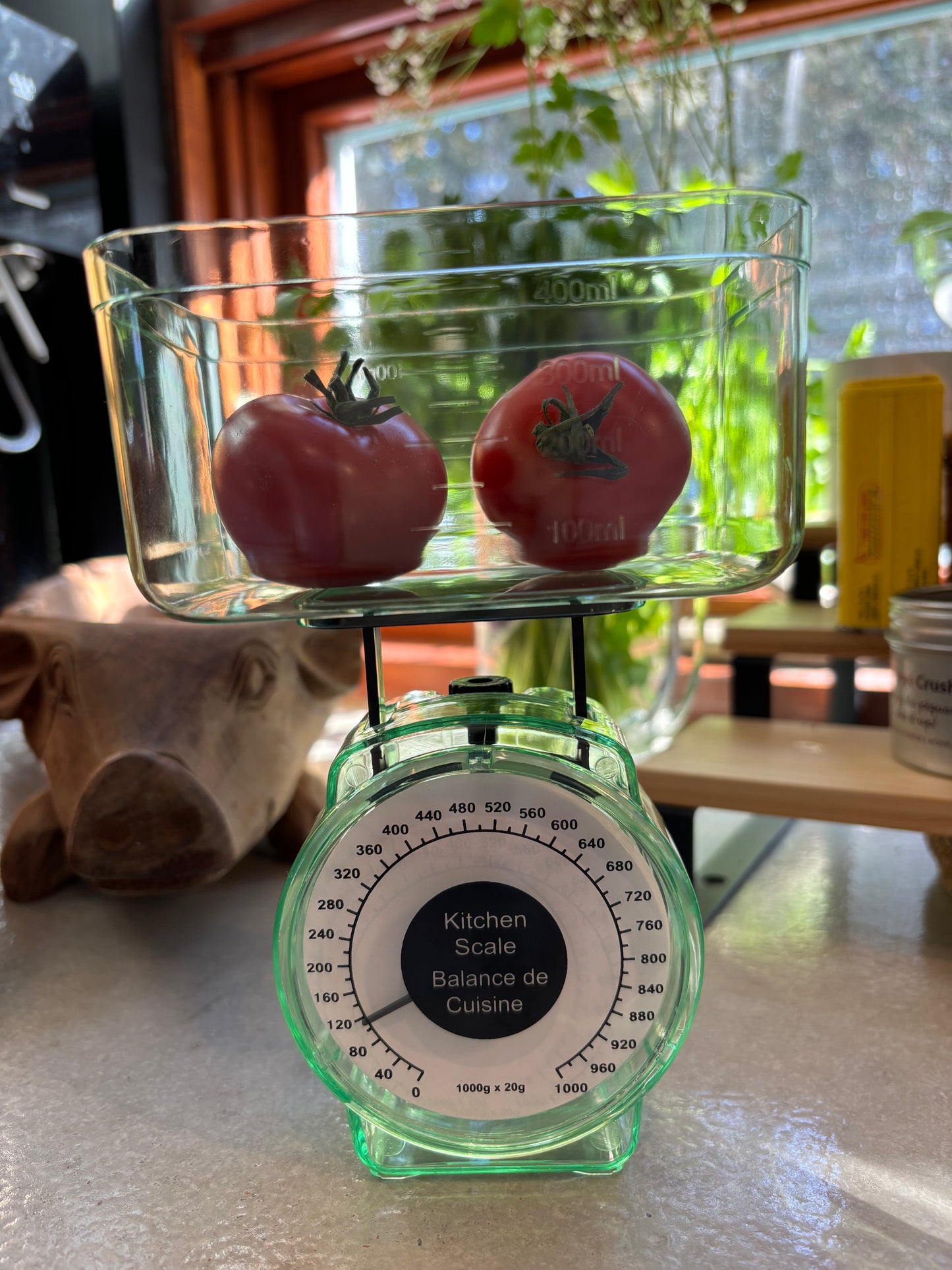 Kitchen Scale