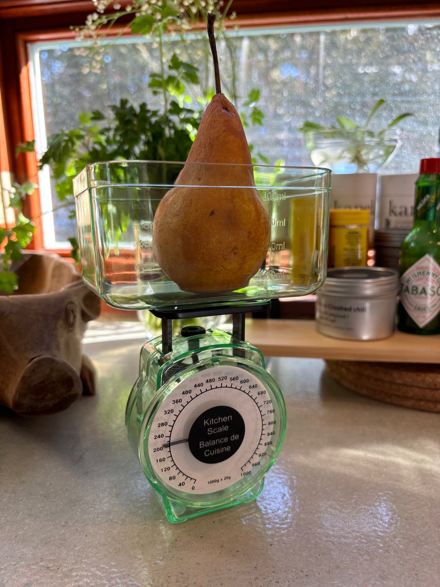 Kitchen Scale