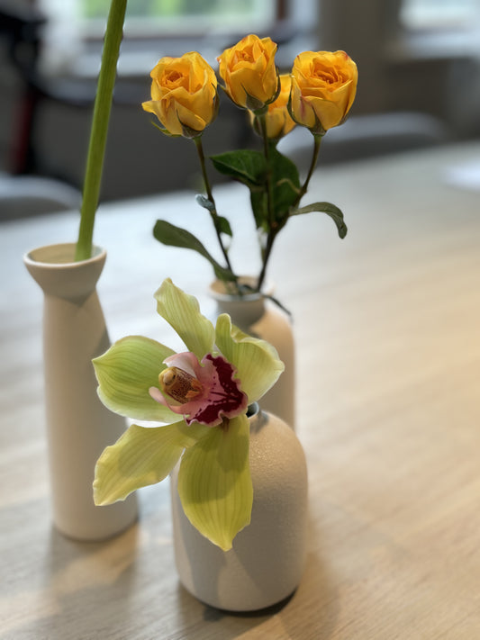Vases en céramique