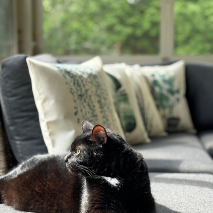 Housses de coussin décoratives en lin à motifs botaniques