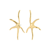 Gold starfish-shaped earrings on a white background
