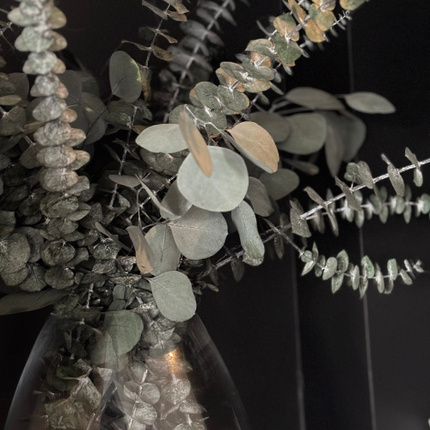 Eucalyptus Frais Préservé