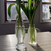 Fish Glass Vase — Small